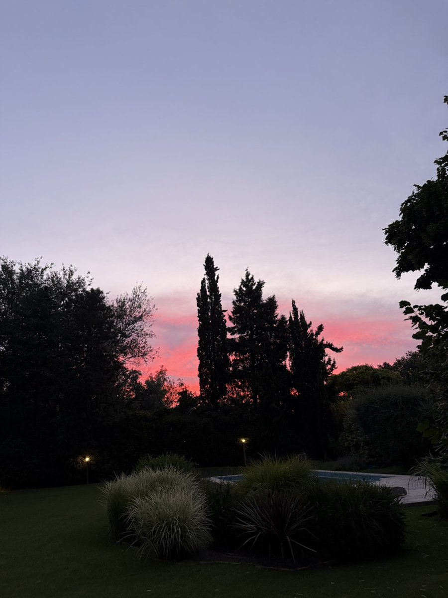 Hera_Aoe's tweet image. Asado y chill