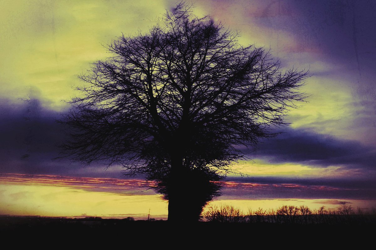 Jack (@jack99751113) on Twitter photo 