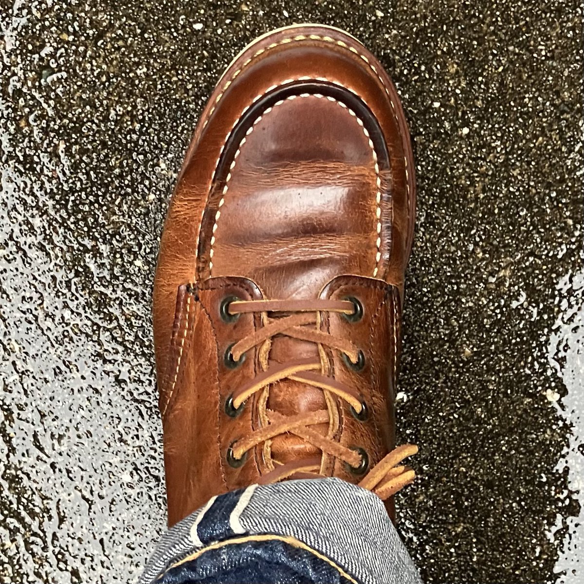 かばちゃん (@kabachan1022) / Posts / X