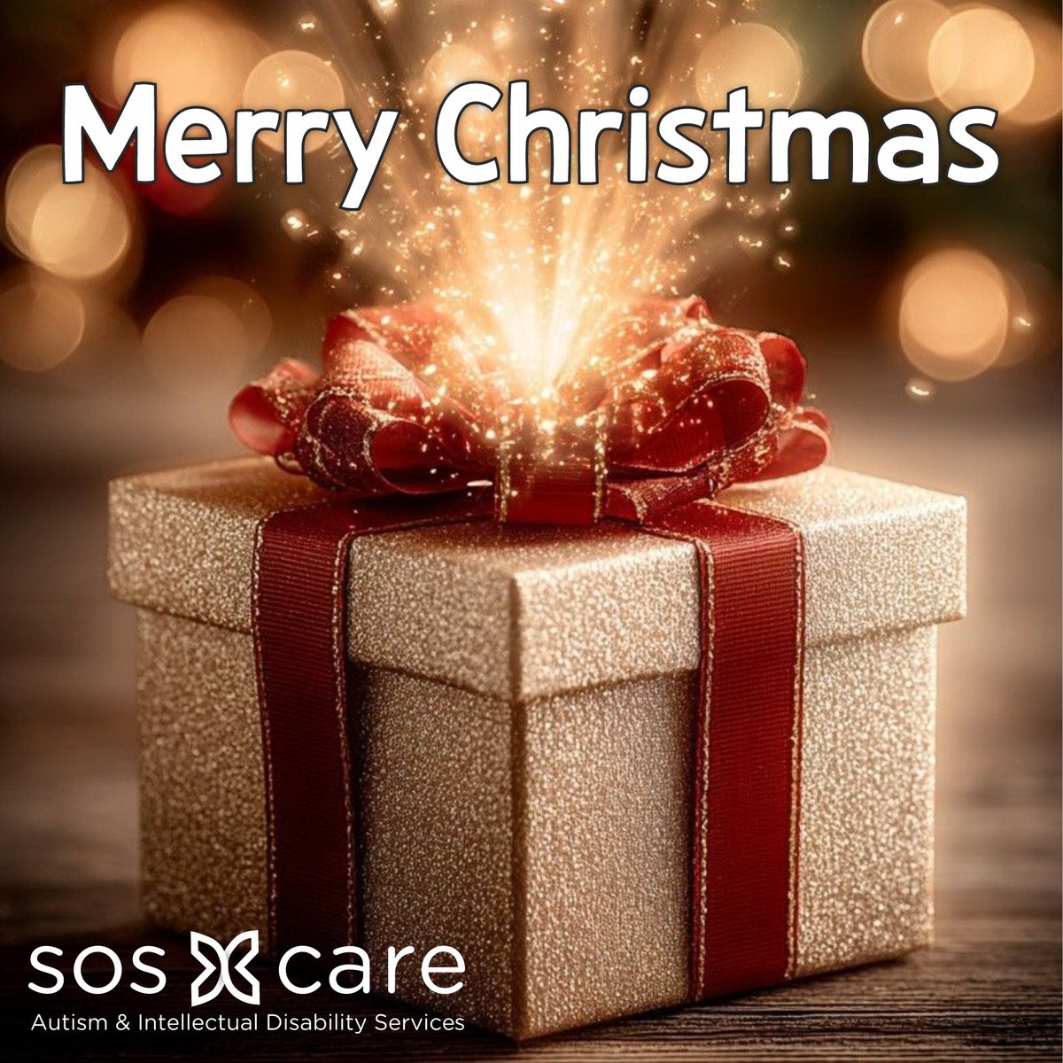 Hope4SOS's tweet image. Merry Christmas from SOS Care! 

This season, we celebrate the joy of connection, the power of inclusion, and the magic of community.
To every family, friend, and supporter—thank you for helping us build a world where everyone belongs. 

📷 Learn more at sosscaresc.org