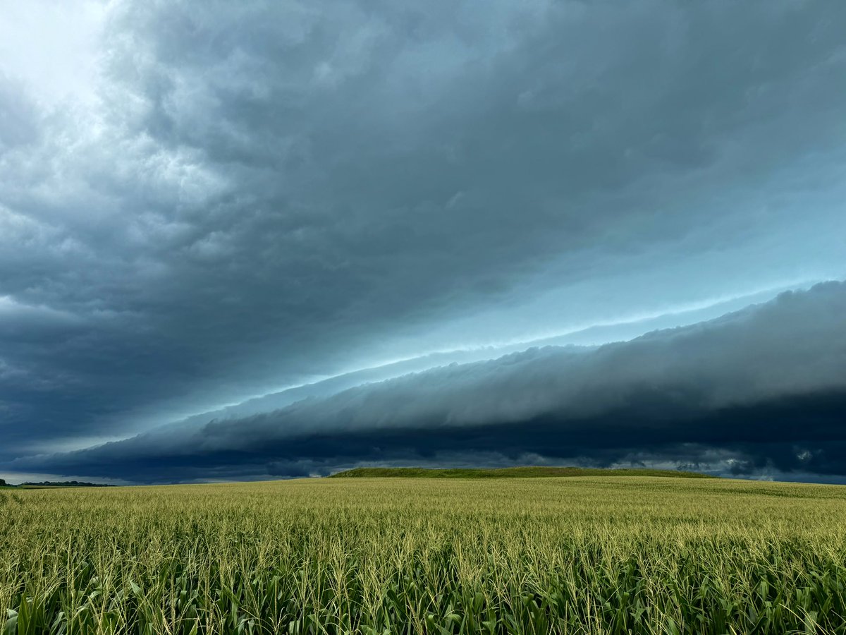 Logan Parham tweet media