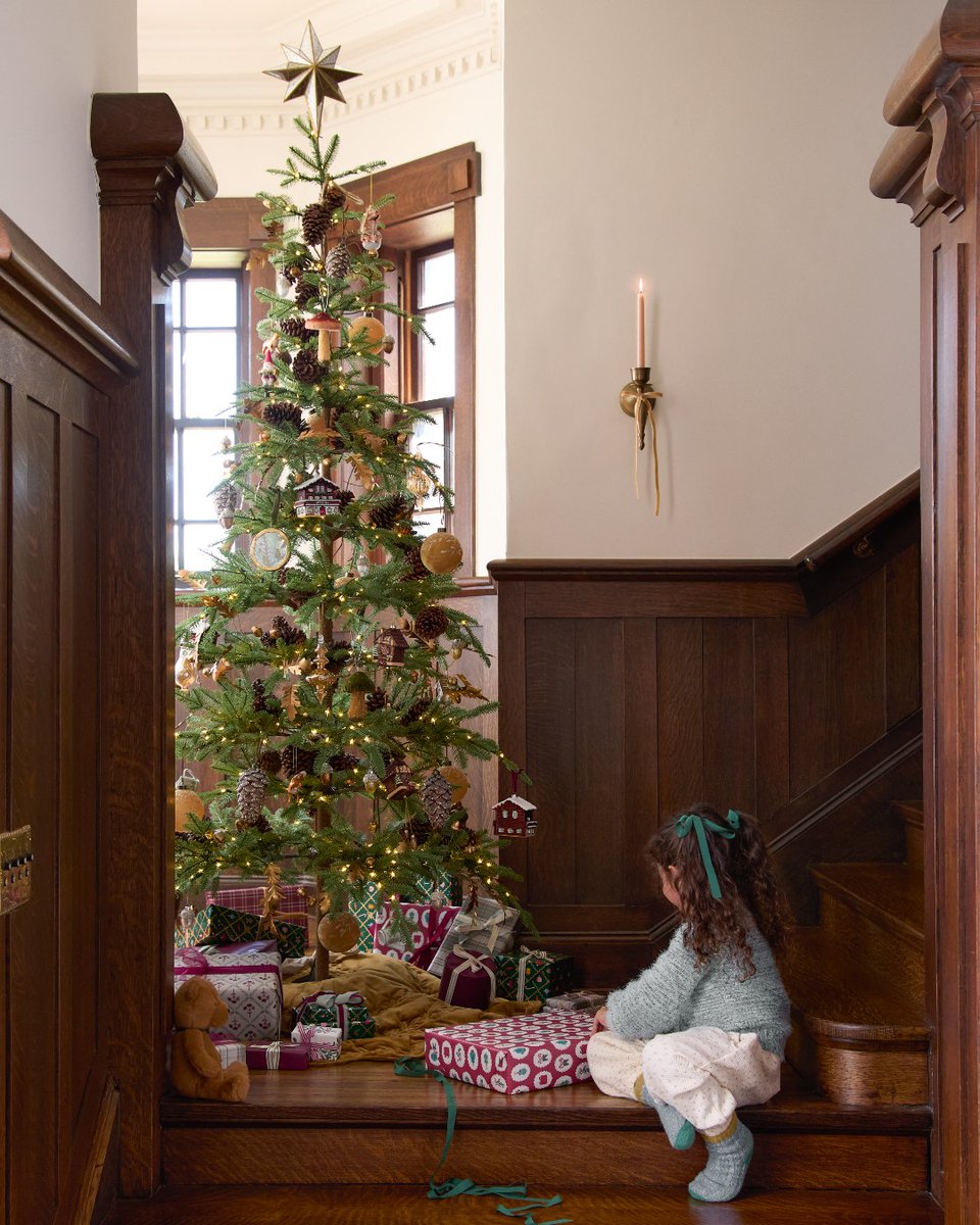 magnolia tweet media