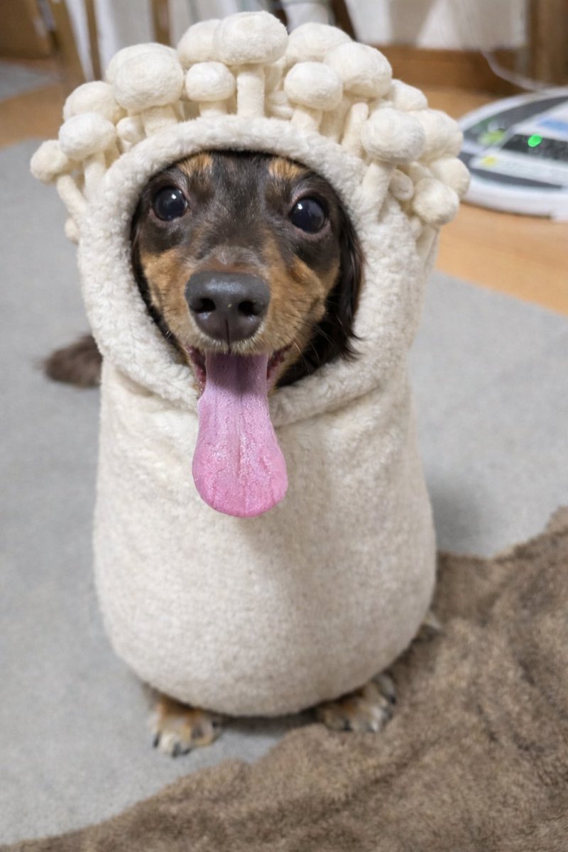 ｐrincess様 ありがとうございます maxresdefault.jpg