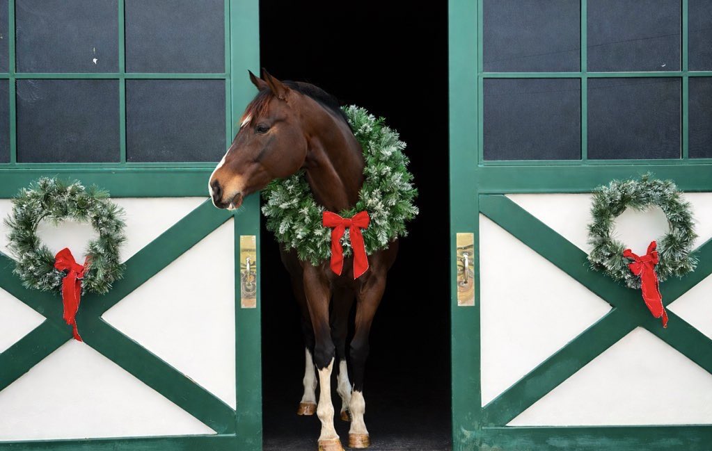 Kaitlyn Cawley-Villalobos (@cawley_kn) on Twitter photo 