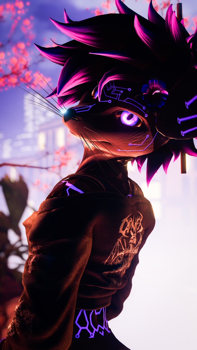 Yoru🔞 tweet media