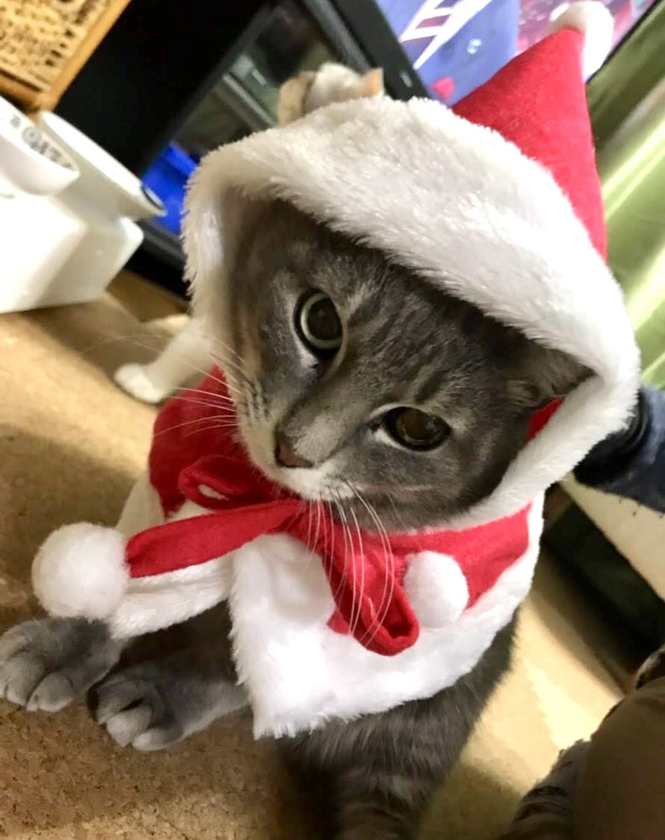 おはようございます😊 12月25日(木)雨の朝です☔ せっかくのクリスマス