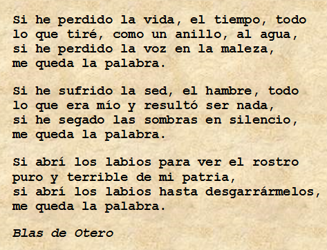 Fernando Gago (@fernandogago24) on Twitter photo 