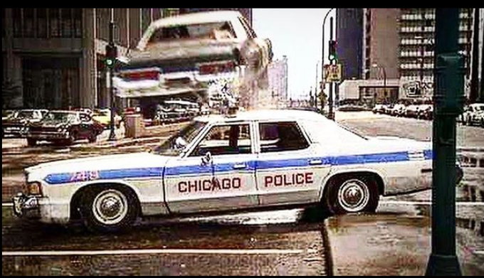 Anne Handler tweet media