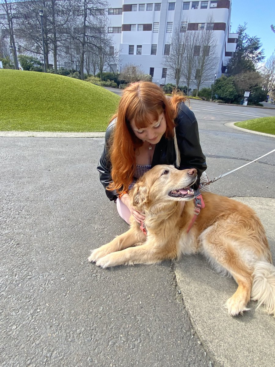 Lou Howell tweet media