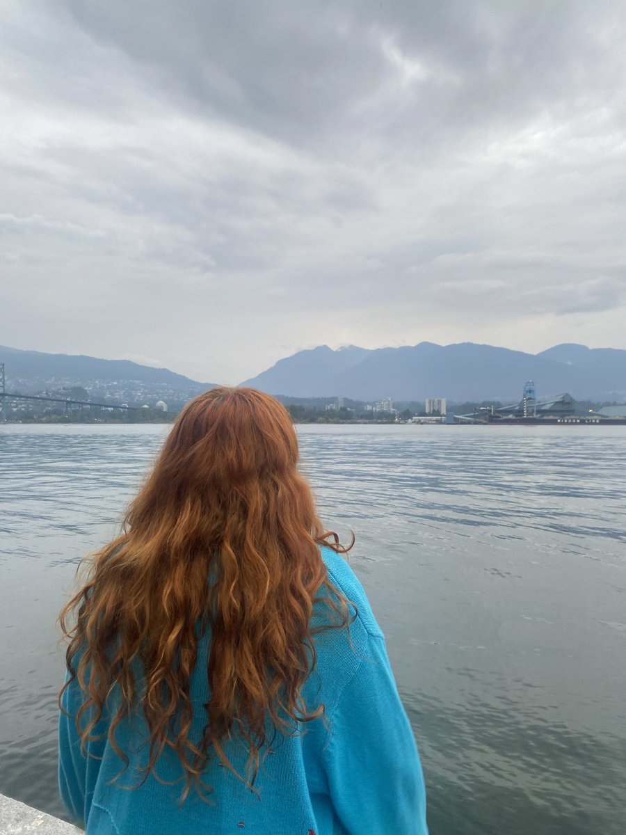 Lou Howell tweet media