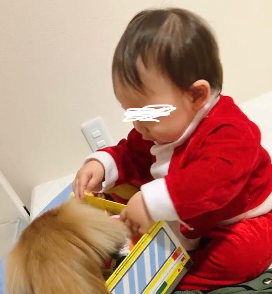 ishi_sysfreesia's tweet photo. おはようございます☁️

ホワイト(霧)クリスマスですね🎄
サンタさんは来ましたか？☺️🎅
我が家は来ました❣️

メリークリスマス🎵✨
今日もよろしくお願いします〜🍀 https://t.co/Az7L4fch6S