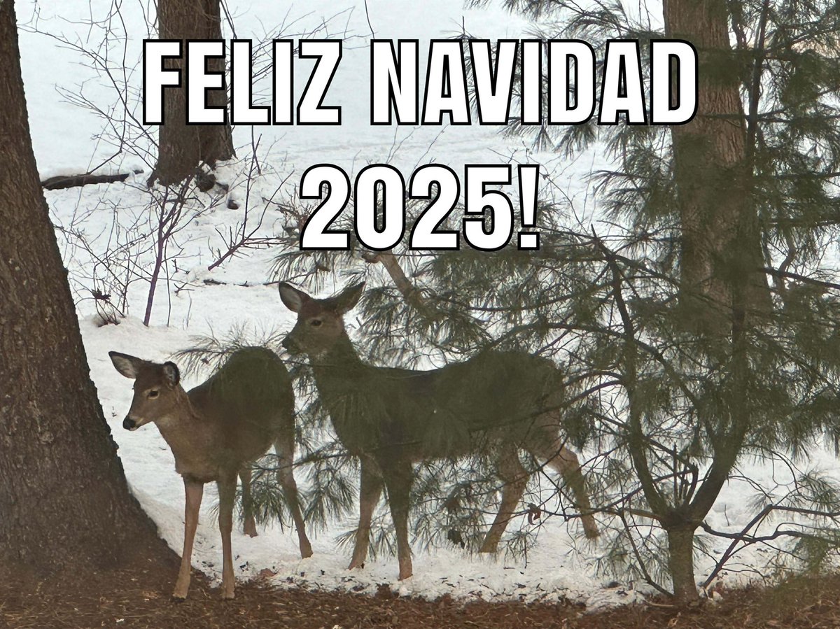 D.O.G.E. (Satire Edition) (@elonvivekdoge) on Twitter photo 