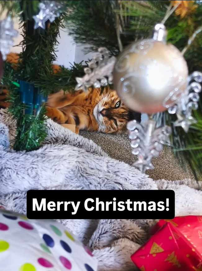 Messy448's tweet image. 