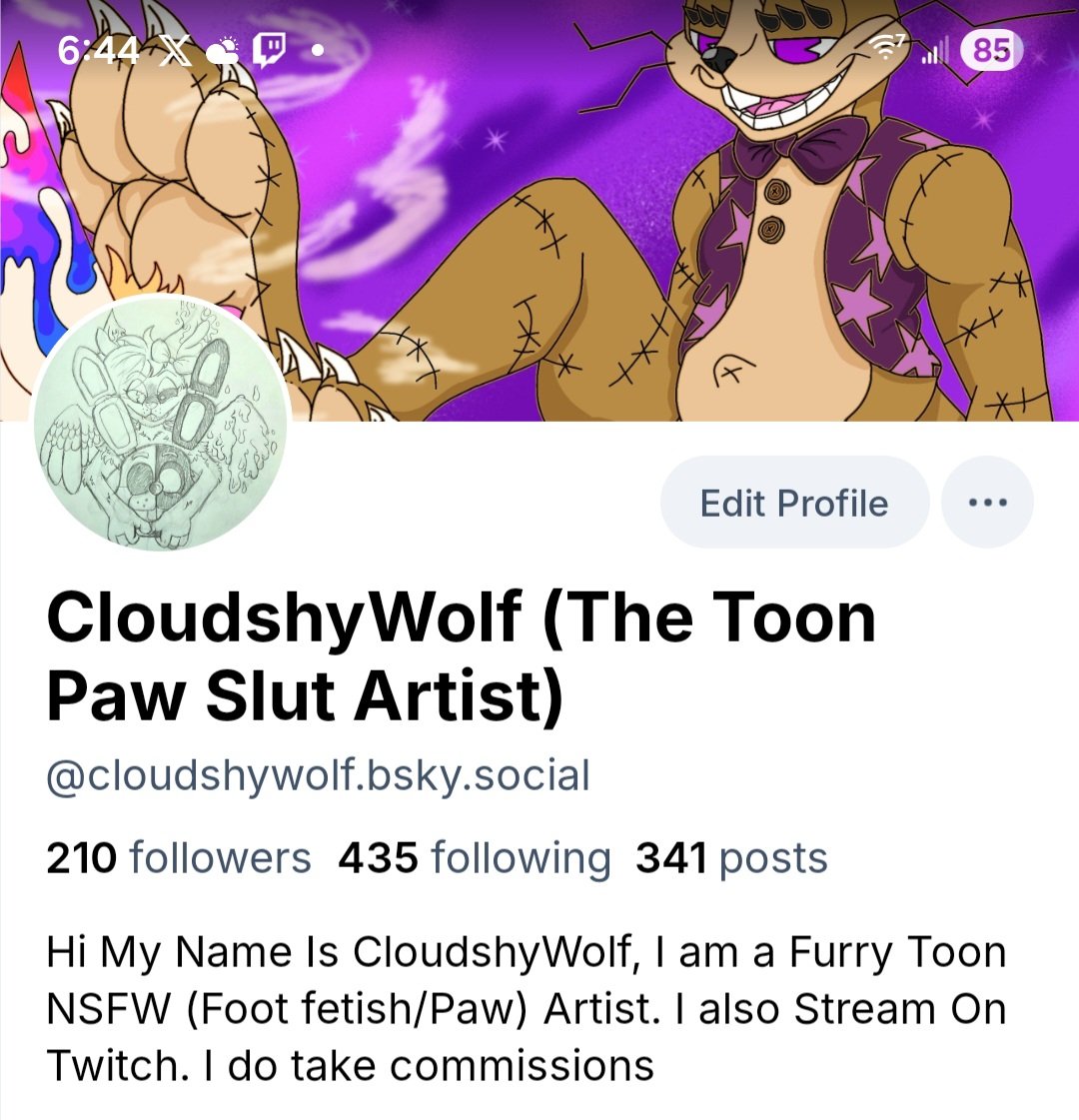 Please follow my bluesky, 

I will not feed the AI, and I will not post on here just to be shadow banned because it is NSFW art then some make NSFW AI and it's not blocked. 

I can't take the back handed sit anymore. Fuck you X.