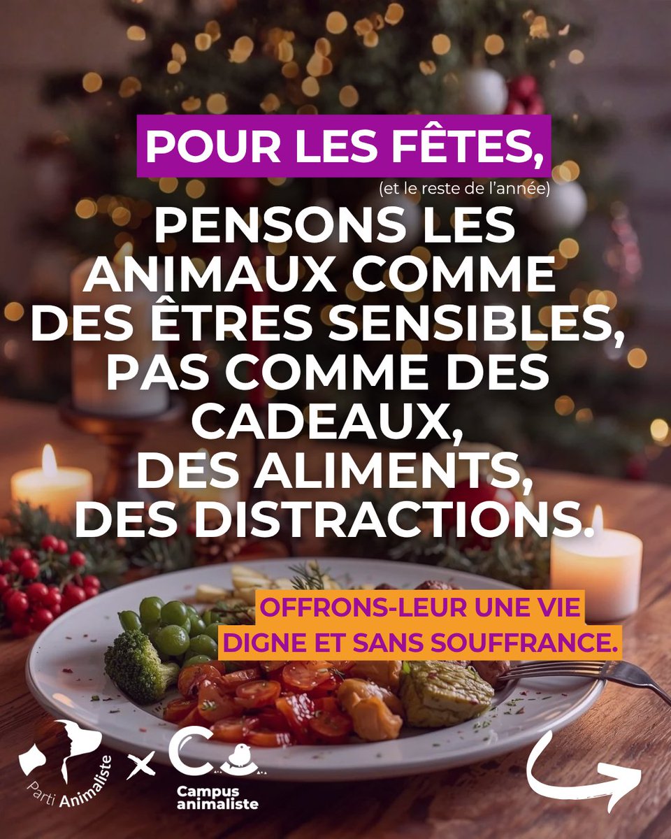 🎄 Pour les fêtes (et le reste de l'année), pensons les animaux comme des êtres sensibles ! 

Pas d'achats compulsifs, pas de souffrance dans les assiettes. 

🐾 Soutenez le Parti animaliste pour porter la voix des animaux en politique.

Bonnes fêtes de fin d'année ! 

[1/4]