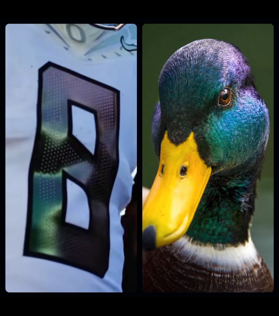 Esper-Relic tweet media