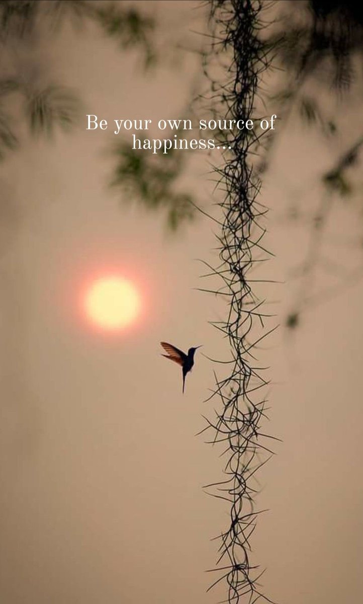 Jessica B. tweet media