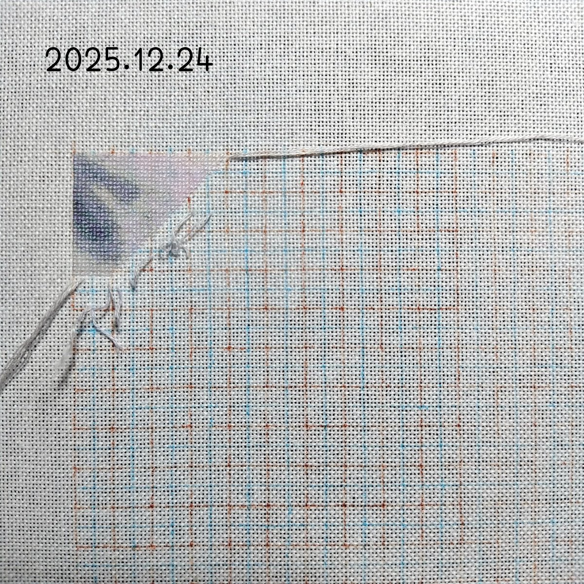 藍玉🪡🌵 (@yumemi_no_log) / Posts / X