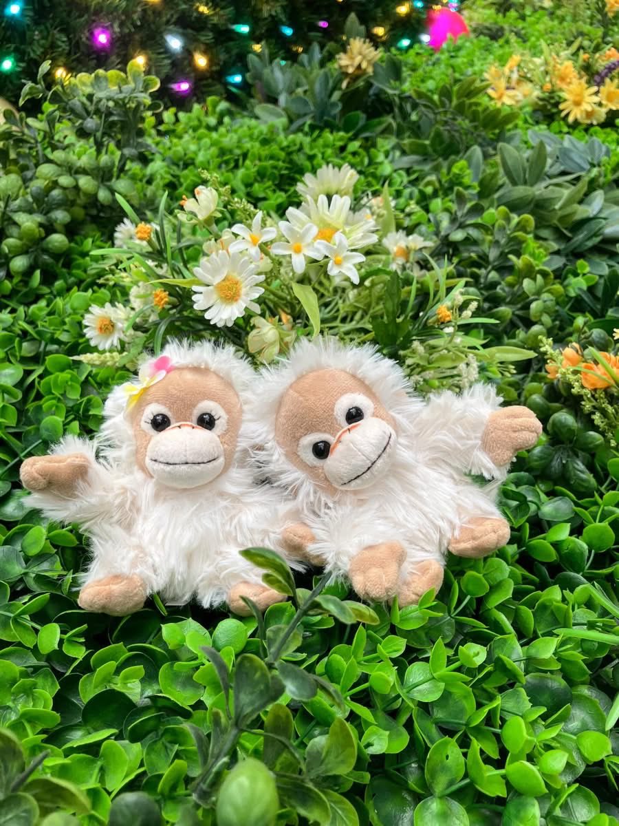 BabyCoco & Natsu 公式 (@BabyCocoNatsu1) / Posts / X