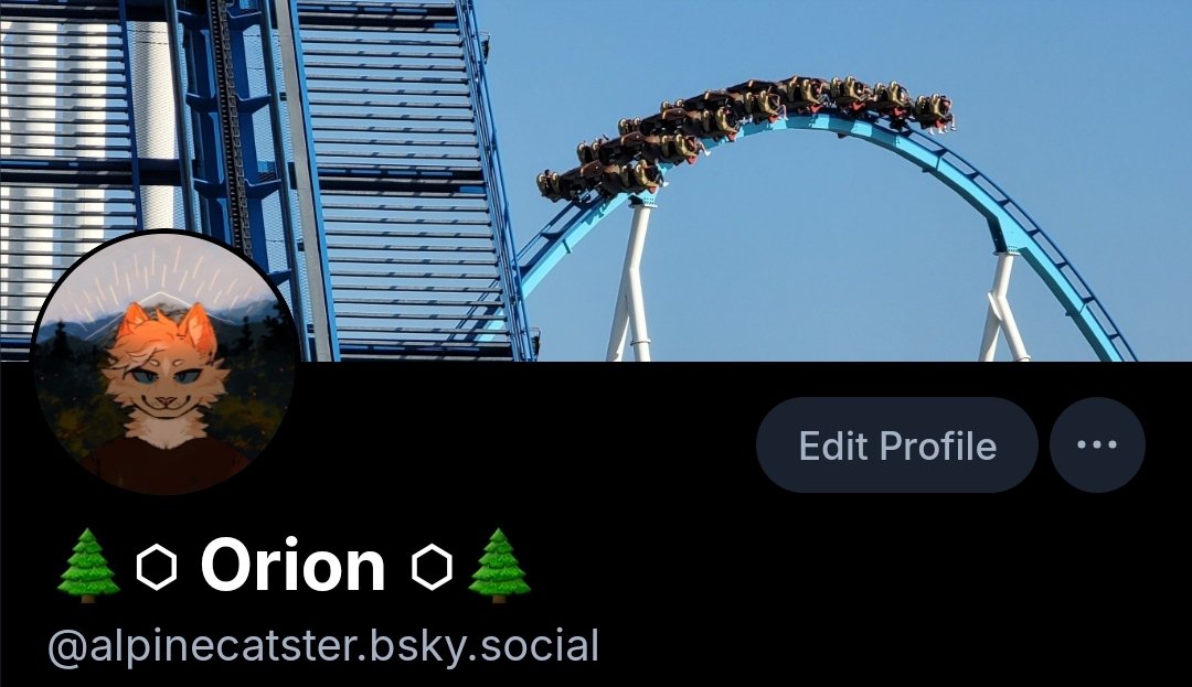 🌲⬡ Orion ⬡🌲🔜AO🔜AC tweet media