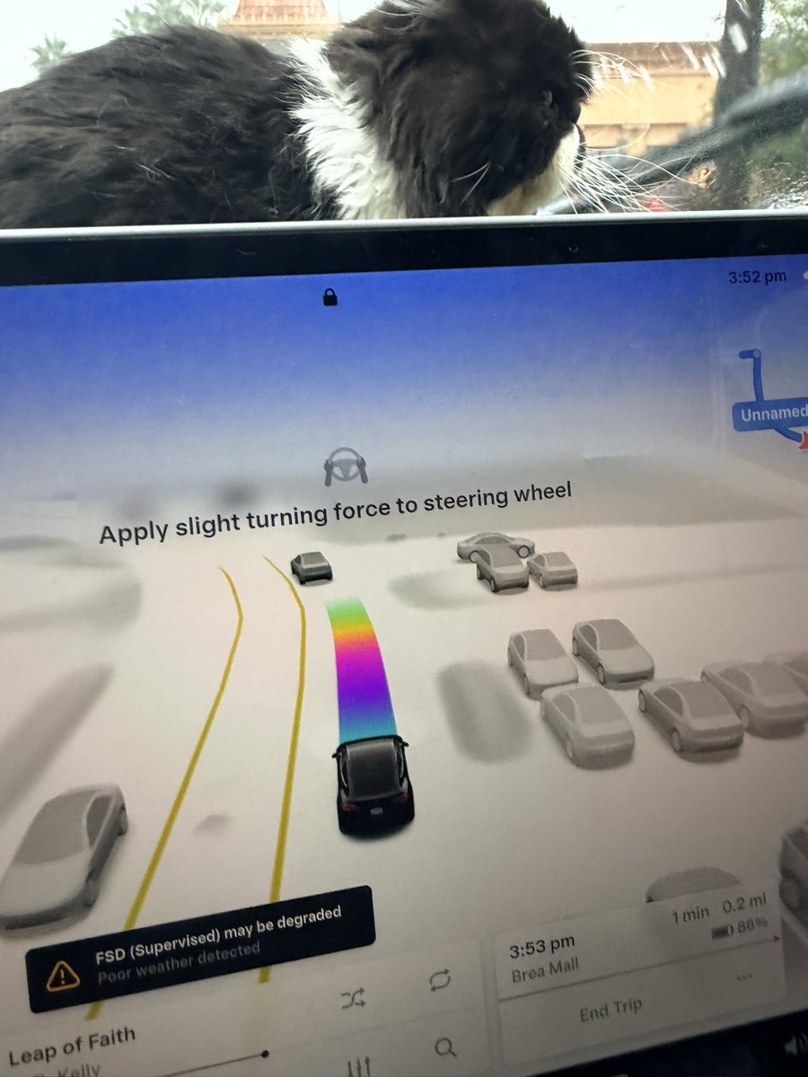 Upgraded to Tesla FSD 14.2.2 but now my vision monitoring system doesn't work properly and I can't use FSD without tapping on the steering wheel. Can it be because of the rain and poor weather outside?
