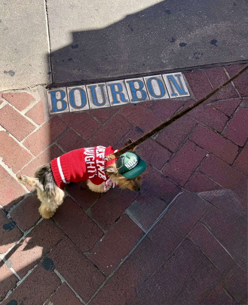 Jamey Johnston tweet media