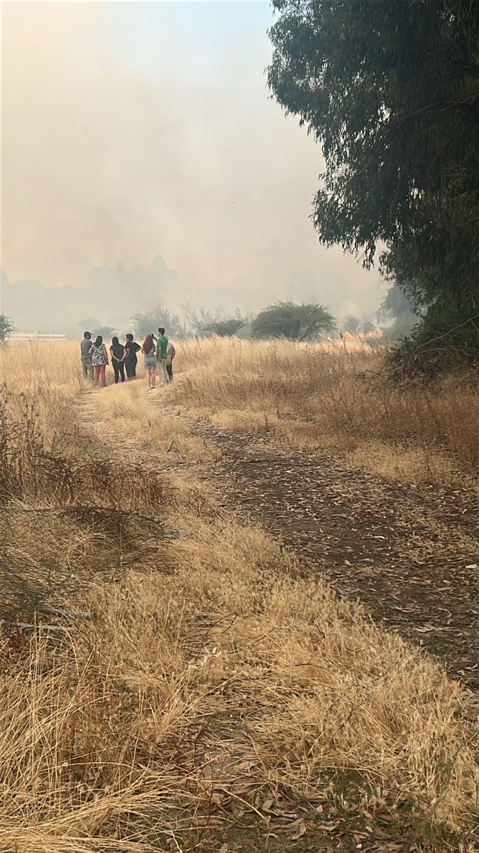 JavierLake3's tweet photo. El incendio del cerro Maule aún no llega a las casas de Numpay https://t.co/MlblWD9fos