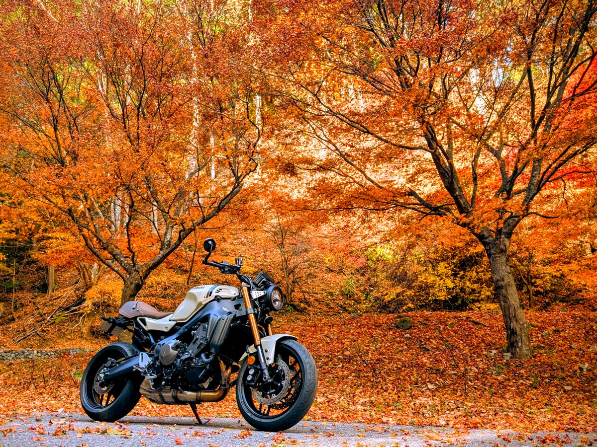 たっちー (@TOUCHBULL) / Posts / X