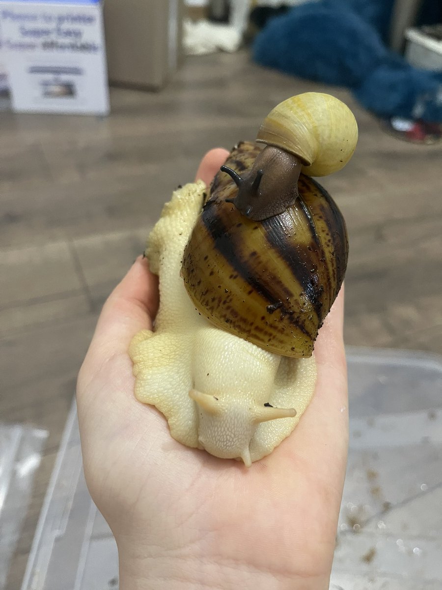 Yukina👾 tweet media