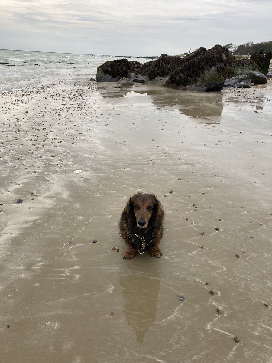 Climping Cottage tweet media