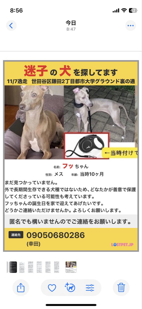 ウランのパパページ 🐶ゆるパパ (@O7MOIs7ULIsLSt6) / Posts / X