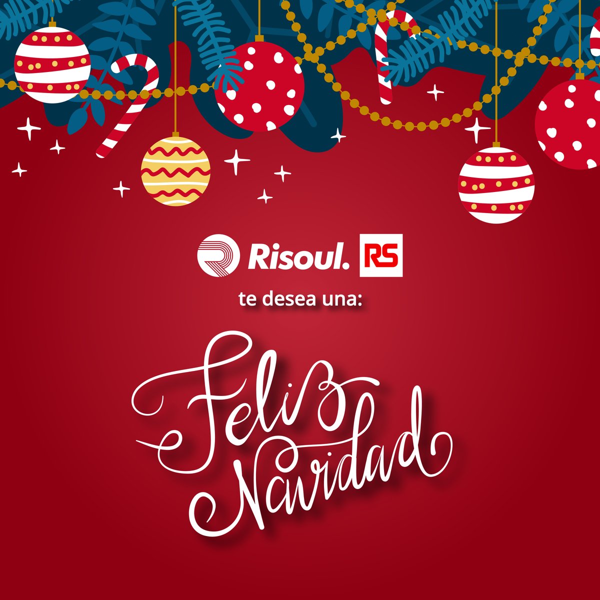 En esta Navidad, Risoul RS te desea un tiempo lleno de amor, esperanza y momentos únicos junto a quienes más quieres ✨

¡Feliz navidad! 🎄

#SomosRS #HacemosQueSucedaLoIncreíble #PorUnMundoMejor