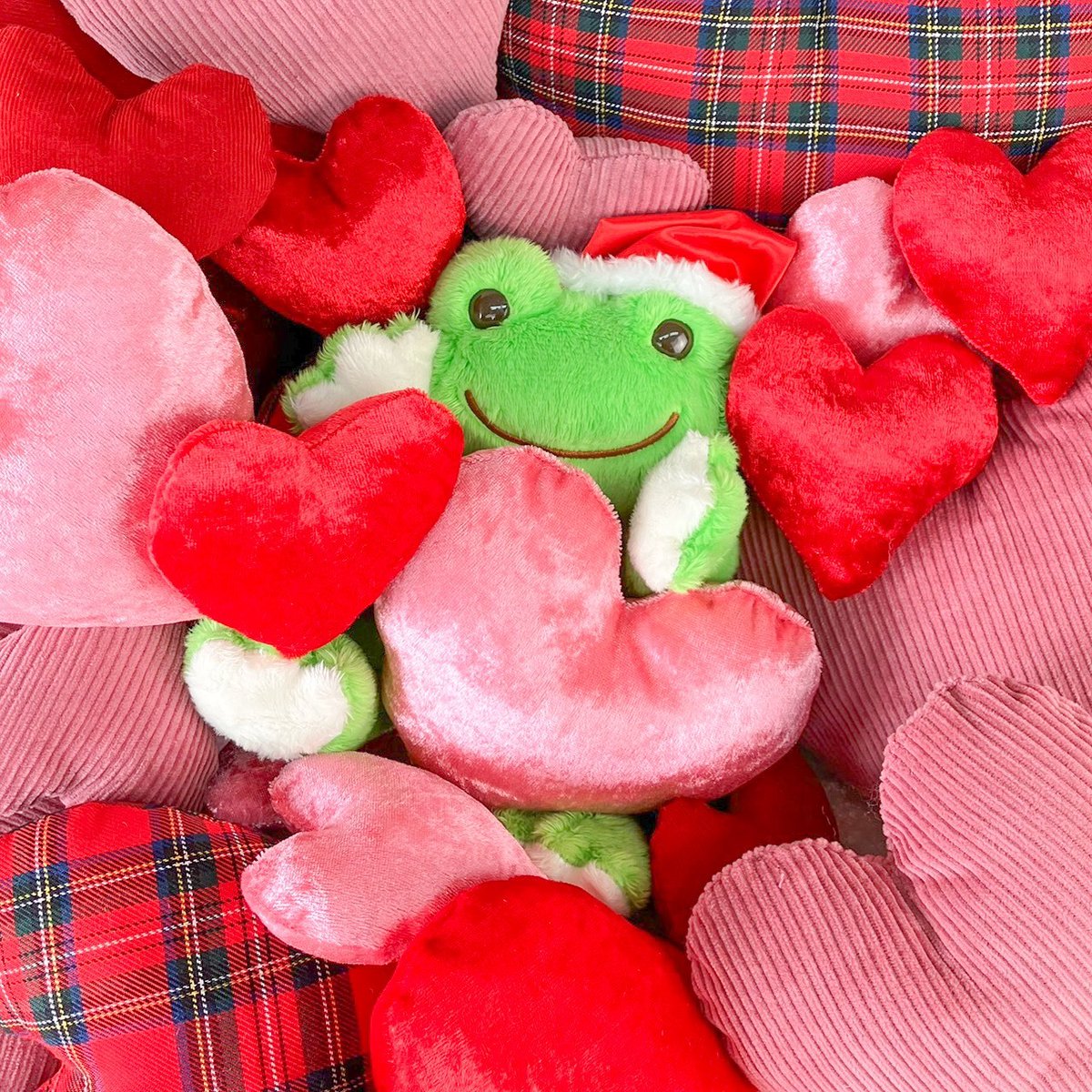 カエルのピクルス かえるのピクルス pickles home