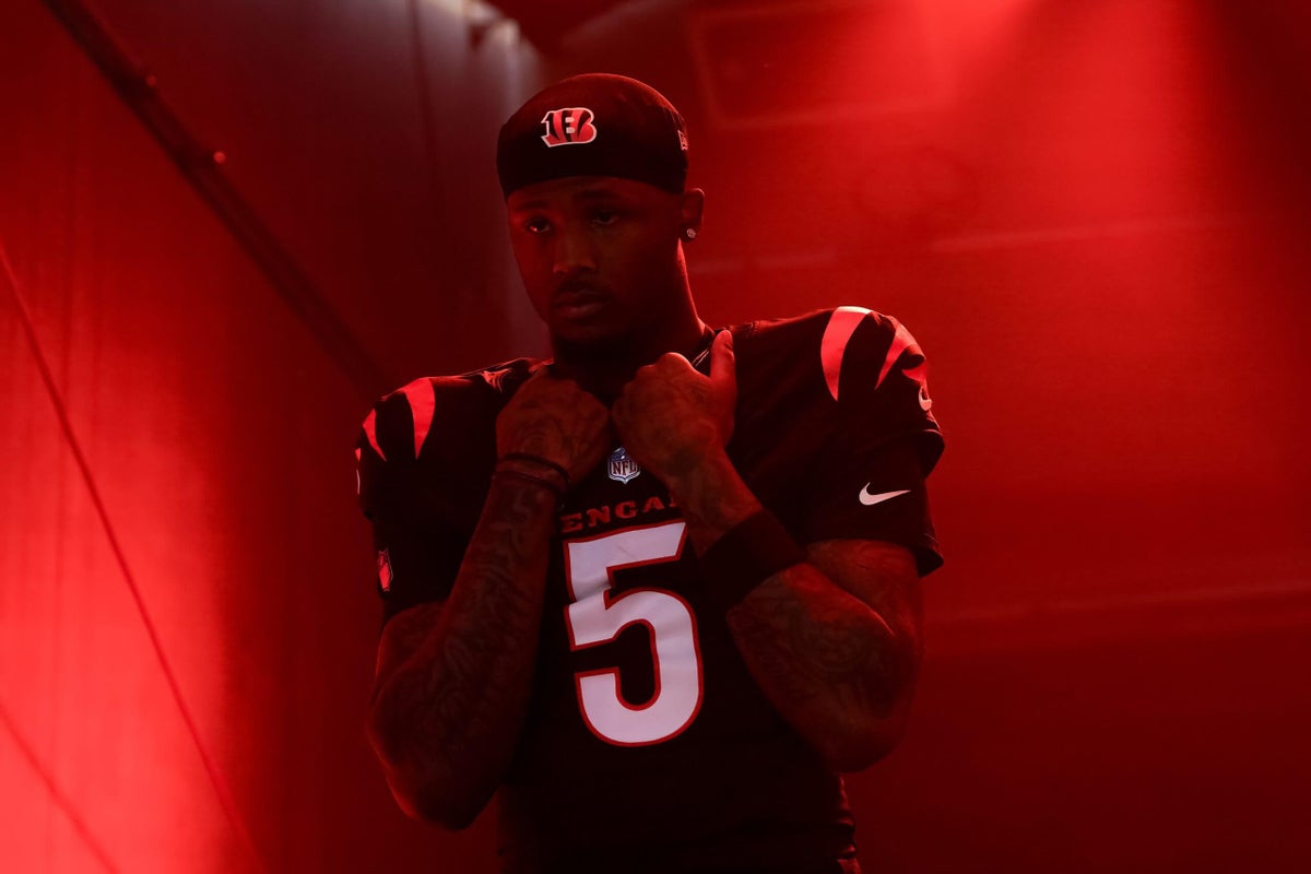 SleeperBengals's tweet image. Tee Higgins in his last 17 games:

77 receptions
1,050 yards
15 TD

One of the best wideouts in the league.