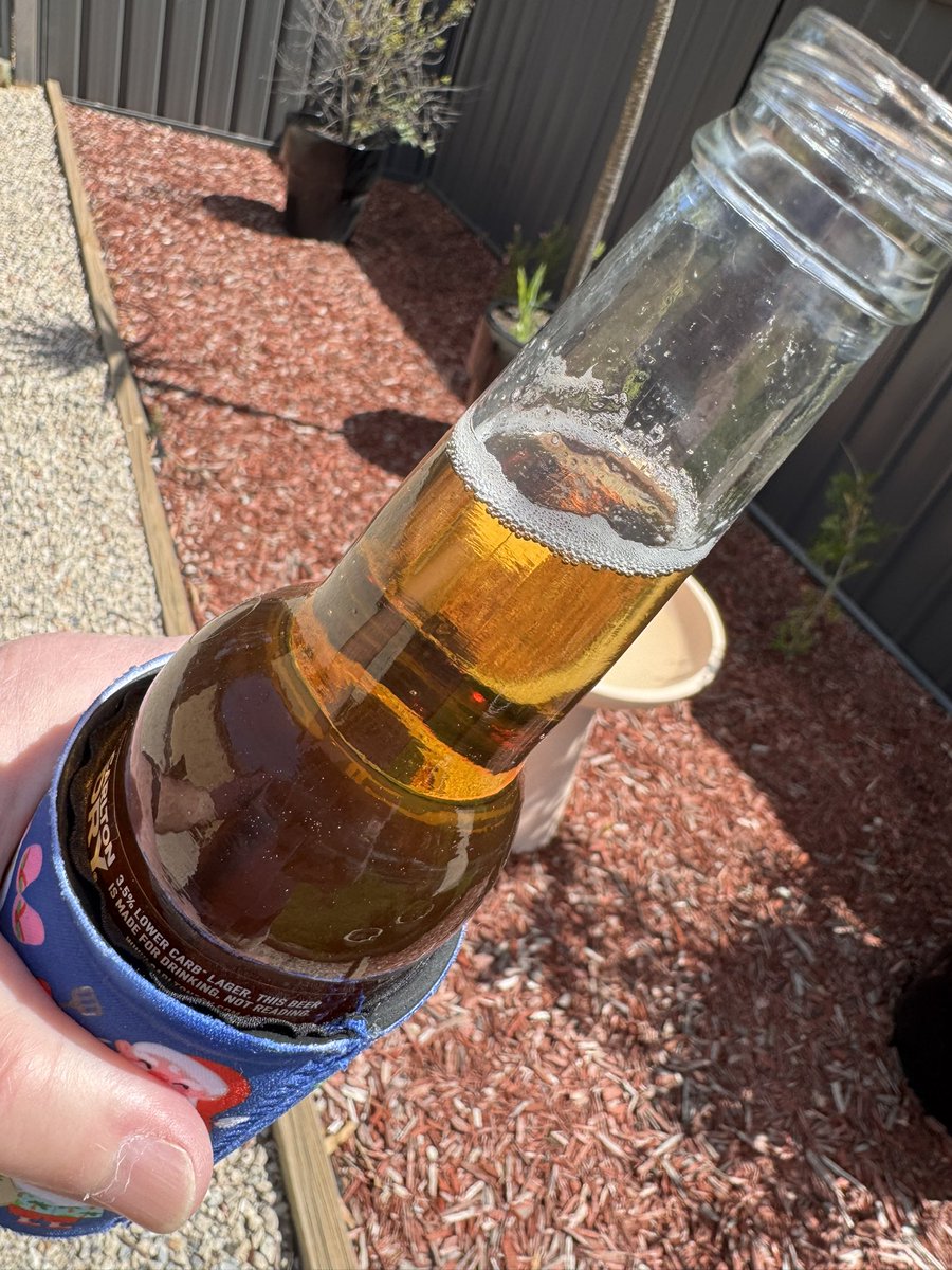 Travis Fitzgibbon tweet media