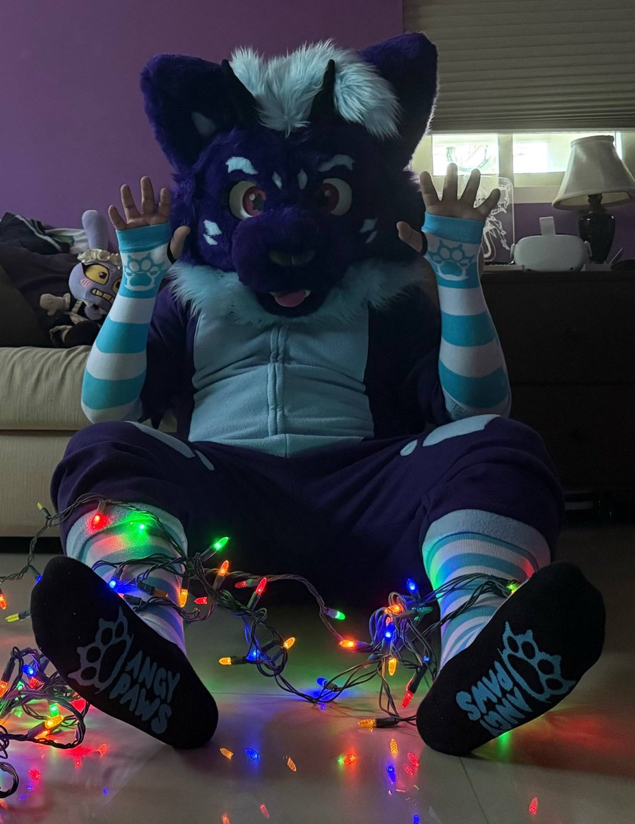 ryupur's tweet photo. Im not someone who shares much on social media, but I will take this opportunity to wish everyone merry christmas and happy holidays c: and Thnx to @FurFoxo2025 for this cute gift.

And thnx to @AngyPaws i got my package today early in the morning, just in time.
#paws #furry 🐉 https://t.co/6YeFz34cXW