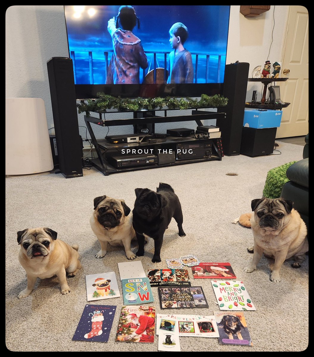 Sprout The Pug tweet media