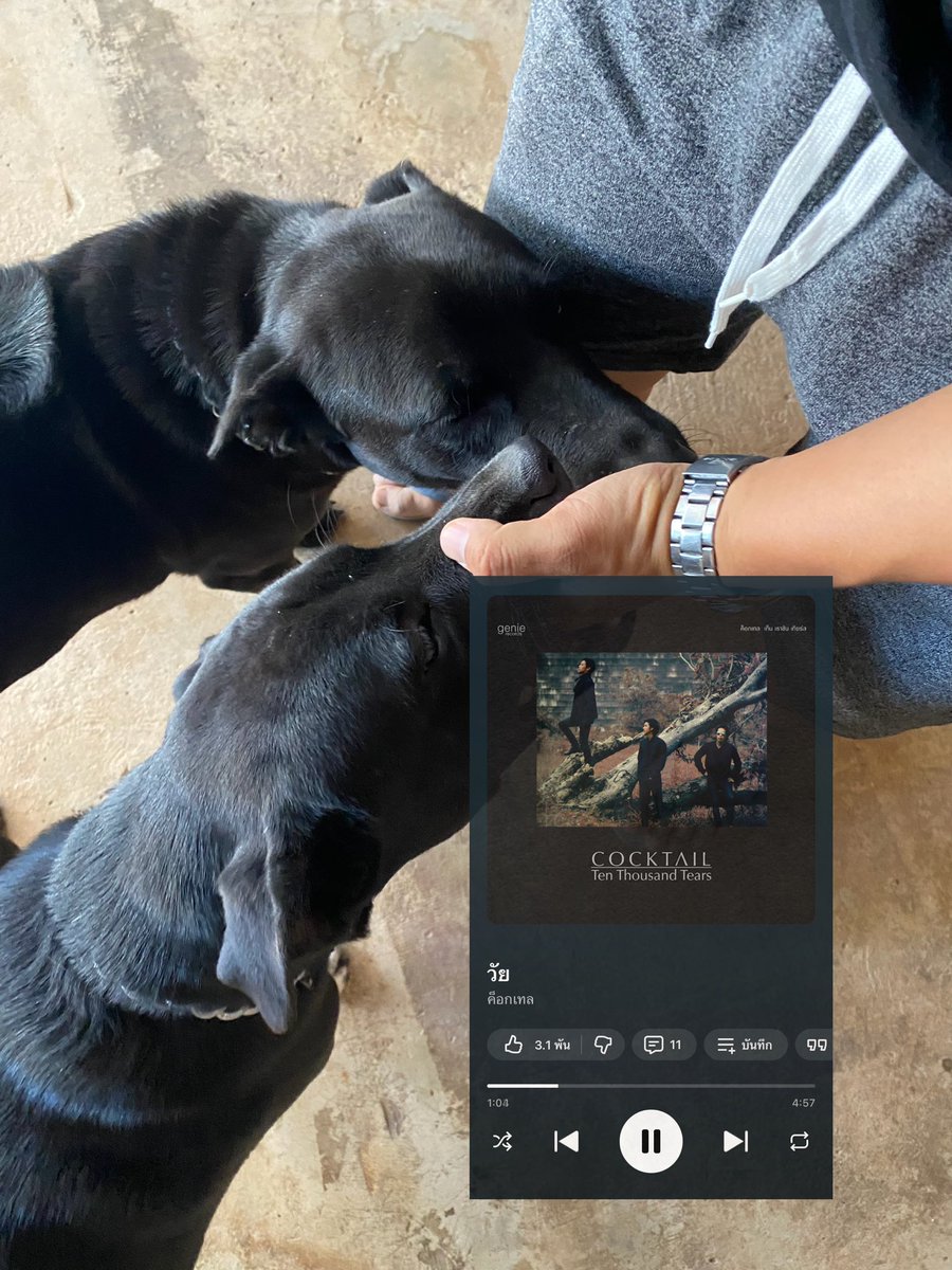 PoMP2E's tweet image. ขอบคุณครับแบบมุ่งเป้า