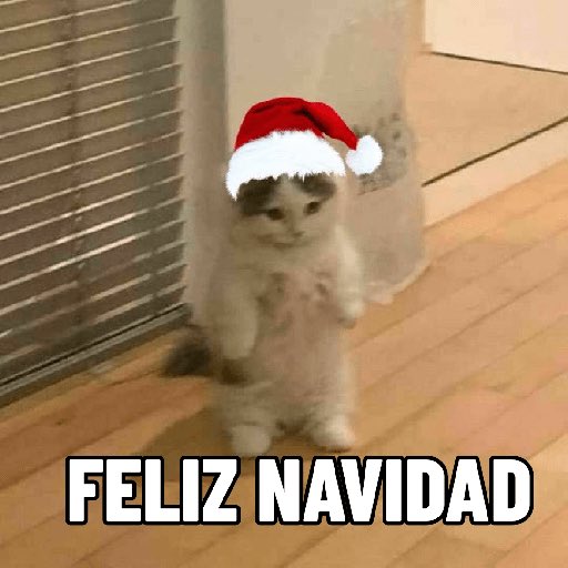 Celebren mucho, hablen un chingo de botánica en la cena navideña.