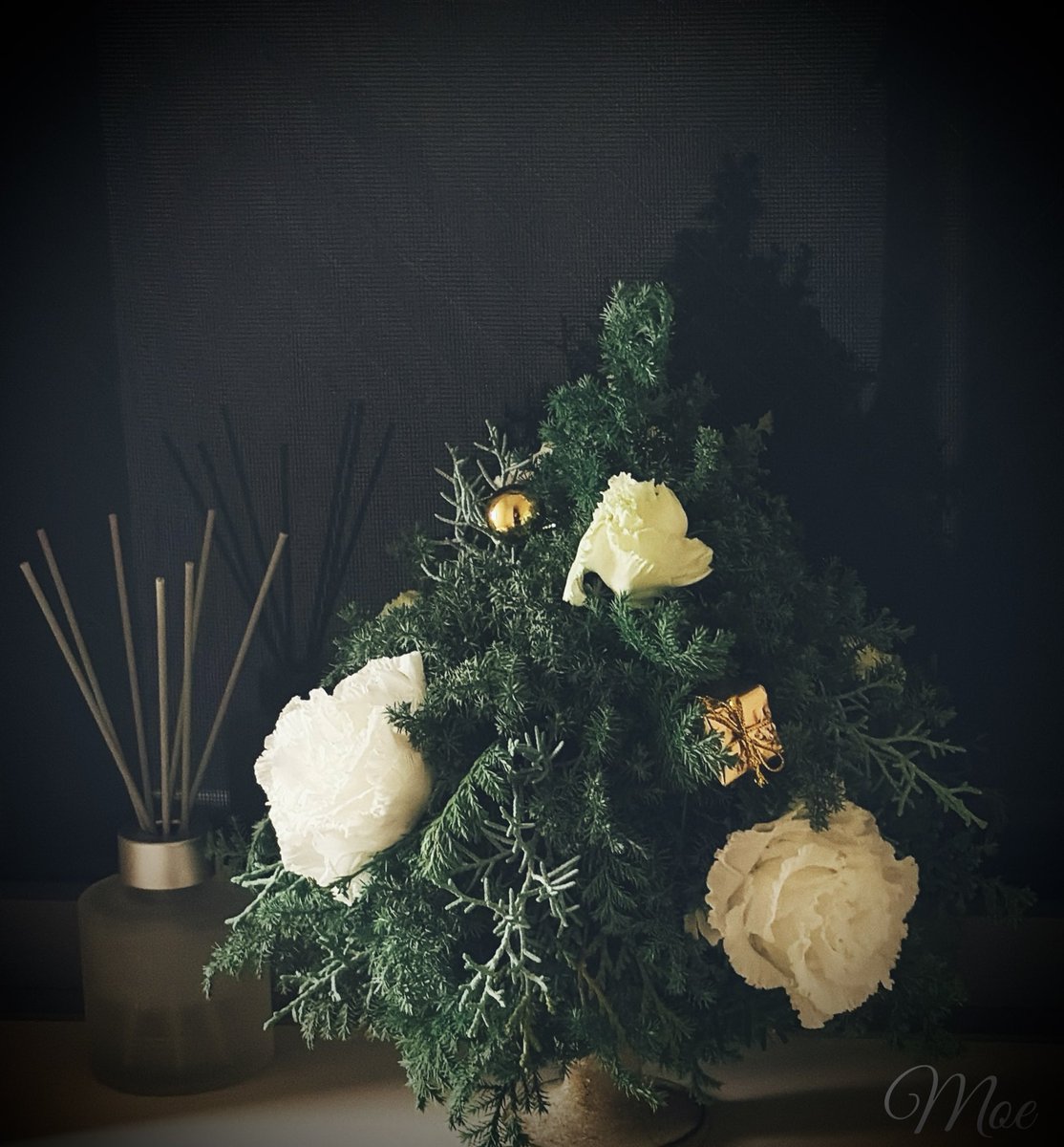 beaute_flora's tweet photo. #MerryChristmas2025 https://t.co/CaUydlgtaA