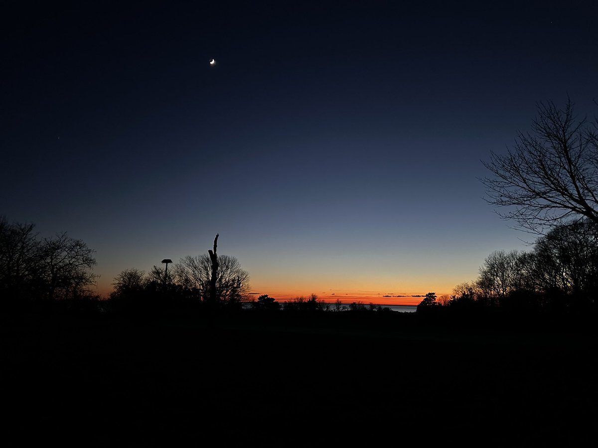 Luanne Rice tweet media