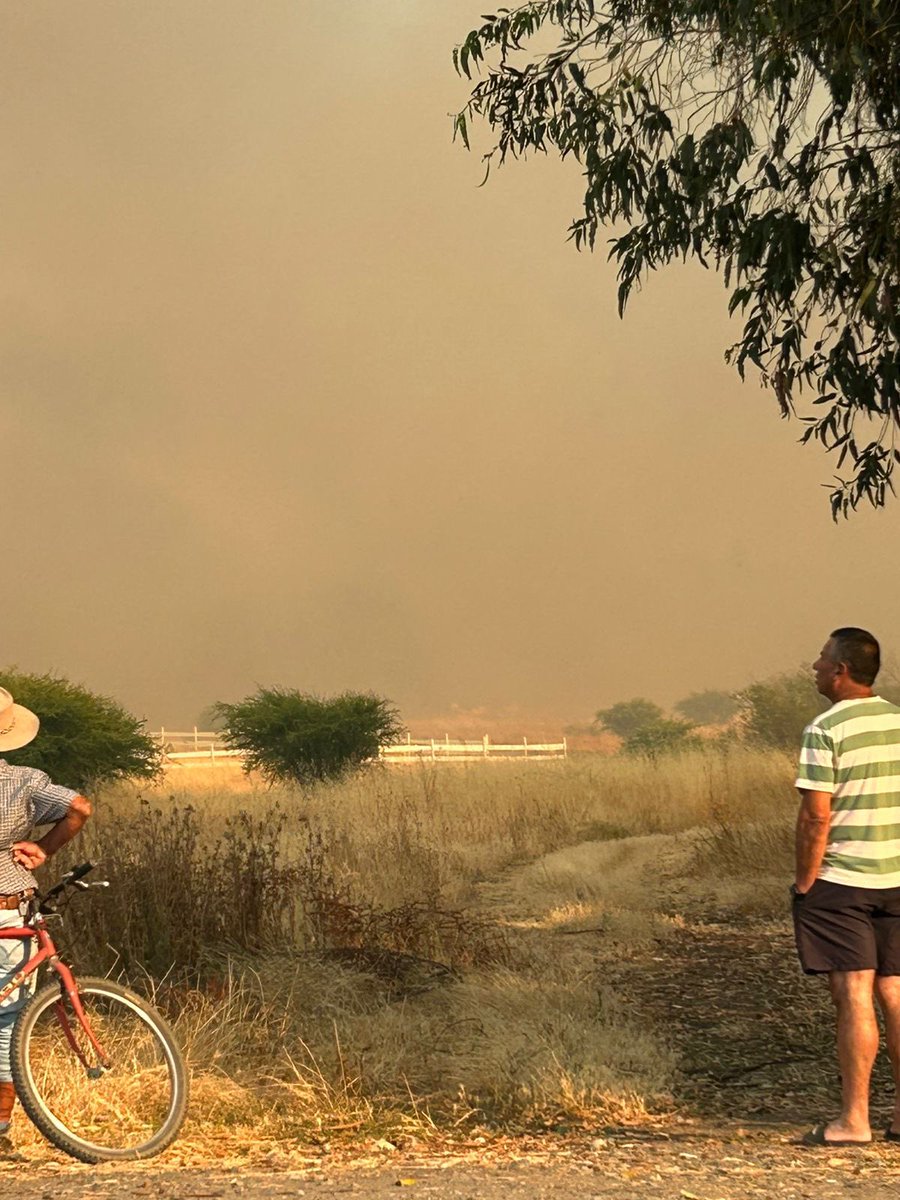 JavierLake3's tweet photo. Según los vecinos bomberos están resguardando los hogares de sector cerro Maule, Numpay y Canteras de Maule. https://t.co/FtiLaGCgfC
