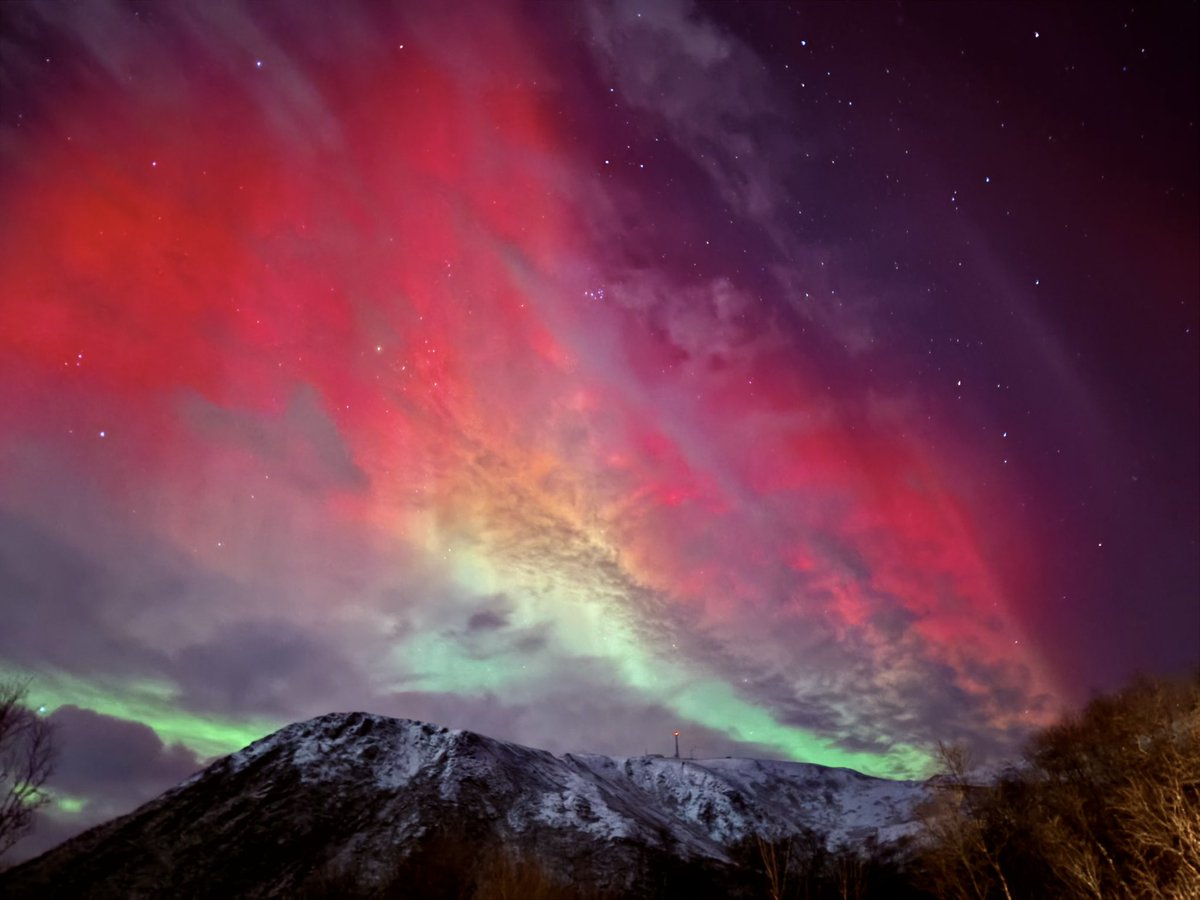 The best Christmas lights in the world