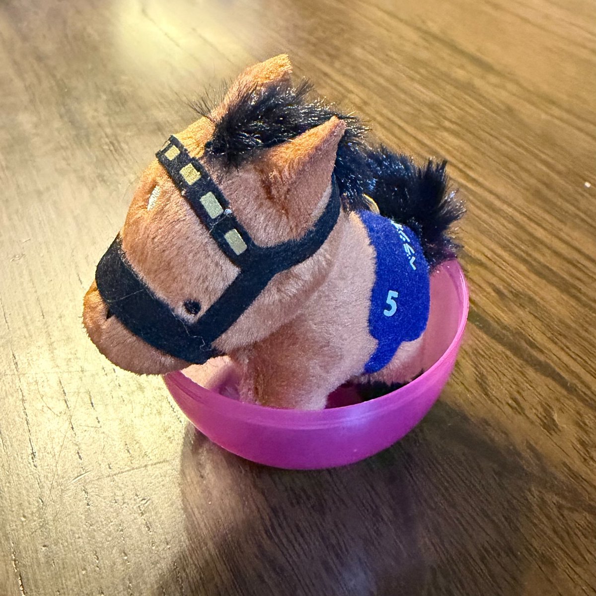 サラブレッドコレクション、2.3.4.5.6 サラブレッドコレクション_