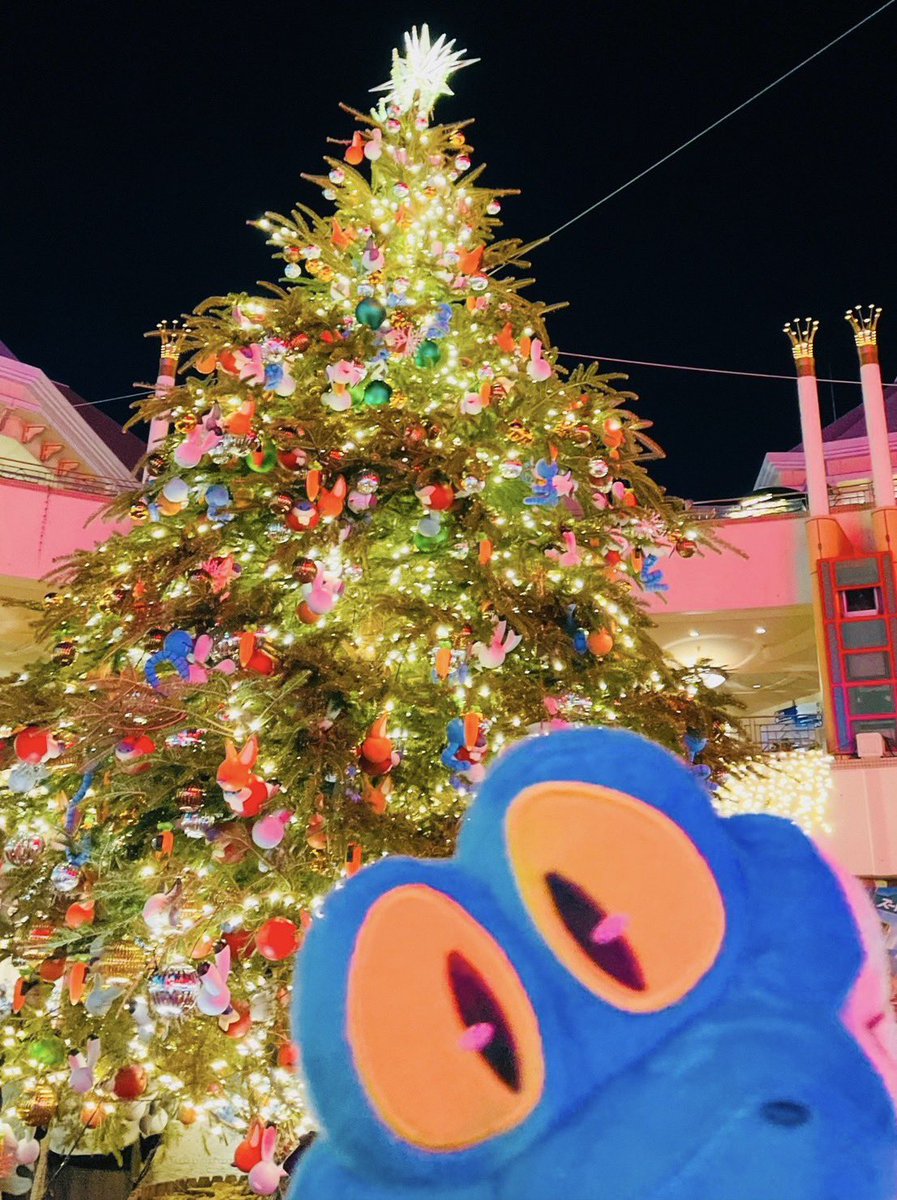 shimono_kousiki's tweet photo. 写真載せ忘れた…😭

今日が本当の…

「Merry Christmas‼️」

#MerryChristmas https://t.co/yfTlyz9T7q