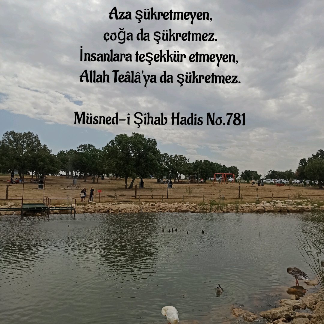 İnsanoğlu iyice azdı. Hiçbir şey tatmin etmiyor artık onu. Peygamber efendimizin sav düsturu bu..