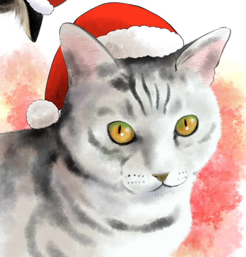 「猫練習」|竹下けんじろうのイラスト