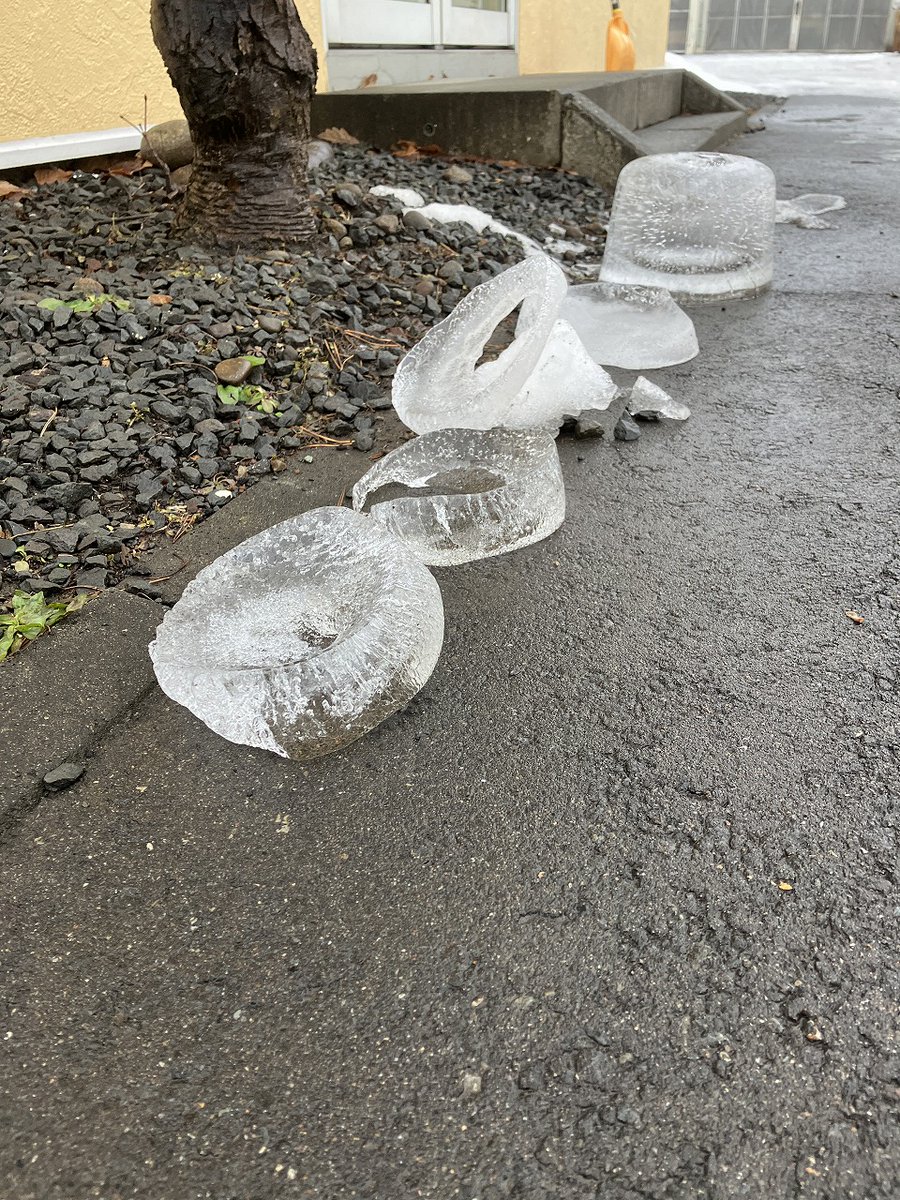 cosine_com's tweet image. 雨のあとに映る、冬のきらめき。旭川の夜と、暮らしに灯る小さな幸せ
Ｎo.4050　2025年12月25日（木）（-1℃⇒2℃）曇
わくわく様です。
昨日は雨が降り、今朝がたも静かな雨音が続いていました。
例年よりも雪が少なく、冬まつりや雪まつりの開催を少し心配してしまいますね
x.gd/rmkjT