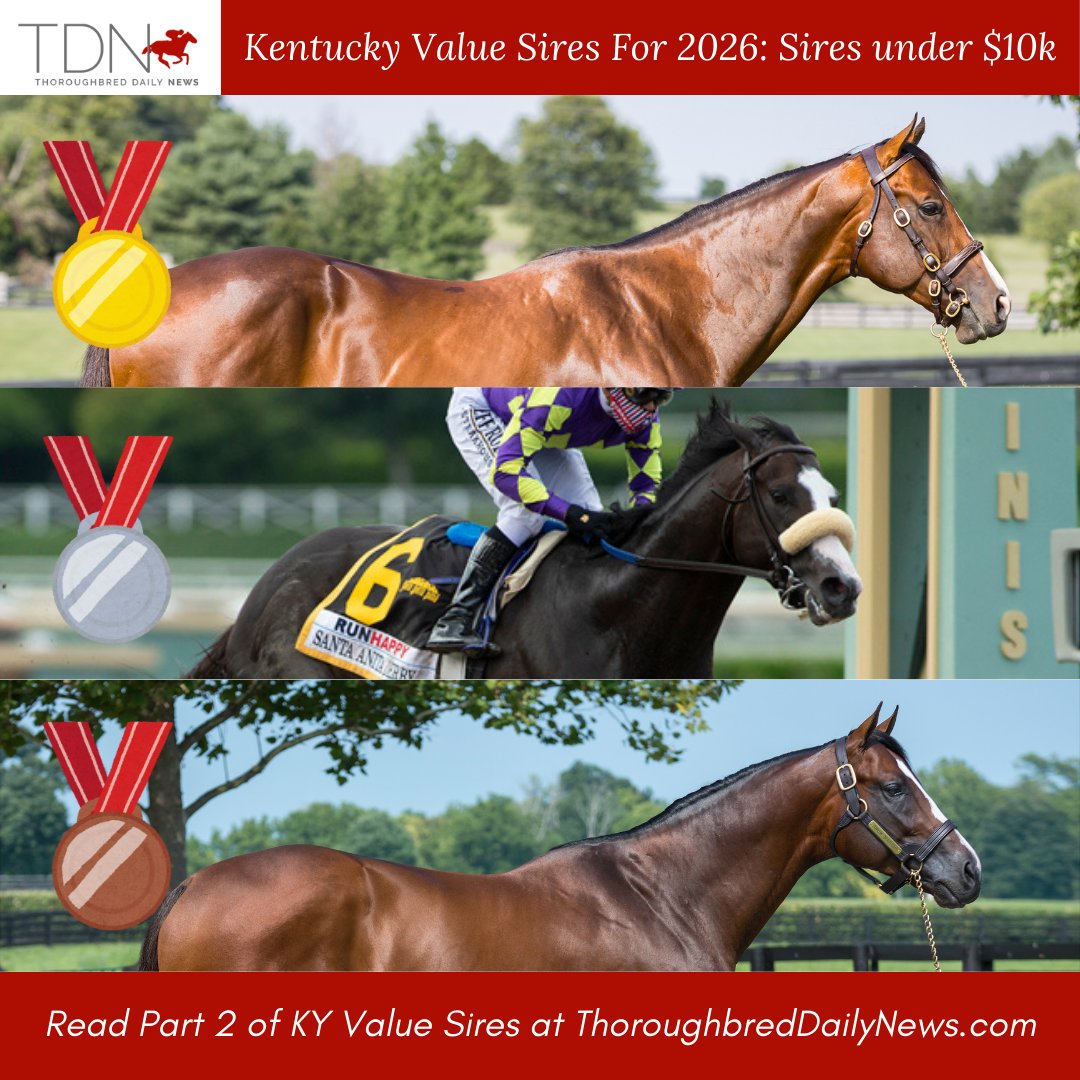 theTDN's tweet image. TDN's Kentucky Value Sires for 2026 🏆
Part 2: Sires Under $10k

🥇 Beau Liam, @AirdrieStud
🥈 Honor A. P., @LanesEndFarms
🥉 Thousand Words, @spendthriftfarm 

These range from horses whose first juveniles have shown promise, to one or two veterans whose resume is such that they…