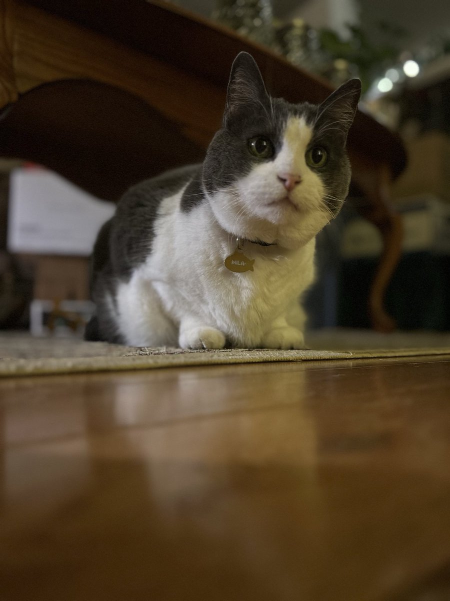 ns4u2sea tweet media